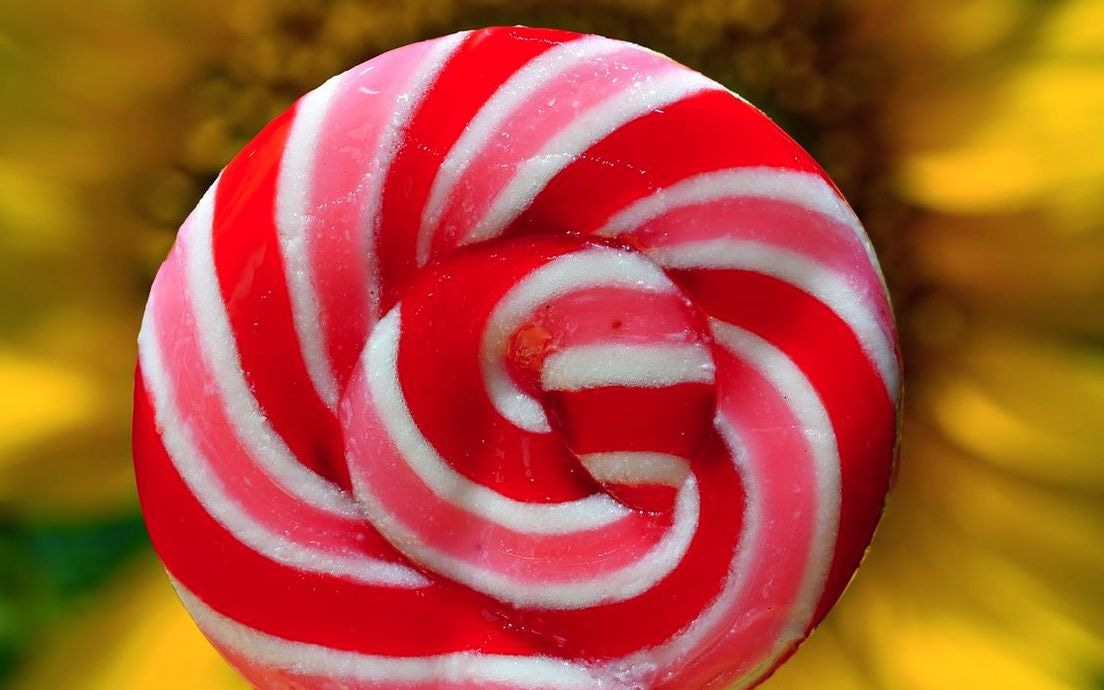 Un delicioso bombón de chocolate recién hecho en un plato